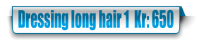 Dressing long hair 1  Kr: 650