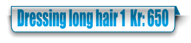 Dressing long hair 1  Kr: 650
